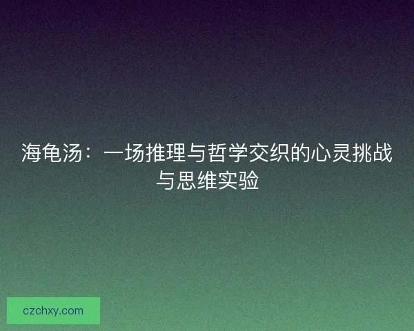 海龟汤：一场推理与哲学交织的心灵挑战与思维实验