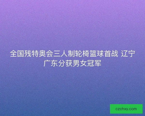 全国残特奥会三人制轮椅篮球首战 辽宁广东分获男女冠军