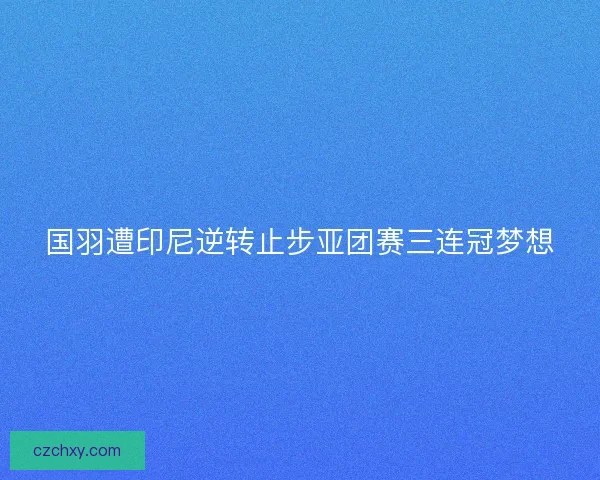 国羽遭印尼逆转止步亚团赛三连冠梦想