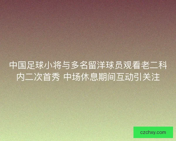 中国足球小将与多名留洋球员观看老二科内二次首秀 中场休息期间互动引关注