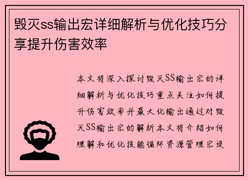 毁灭ss输出宏详细解析与优化技巧分享提升伤害效率